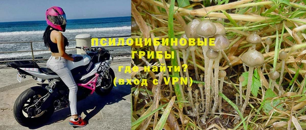 амф Арсеньев