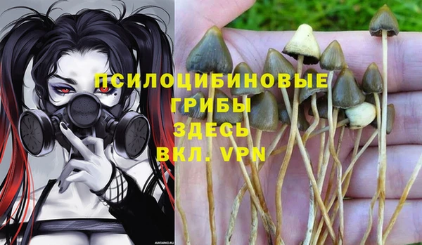 амфетамин Богданович