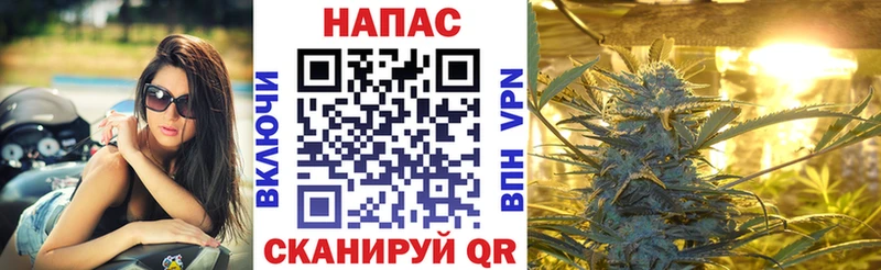 Канабис сатива Гороховец